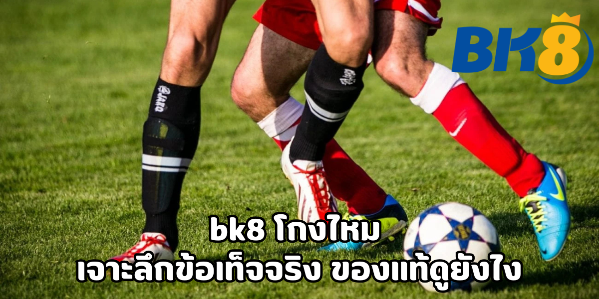 bk8 โกงไหม